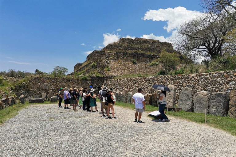 Visite guidée d&#039;une journée sur la route du Monte AlbanBillets et repas inclus