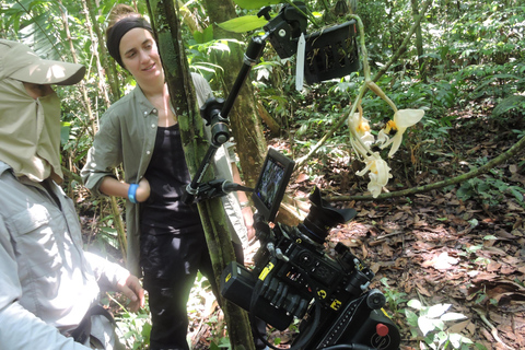 Birdwatching excursion 1.5 hours Tambopata Corridor