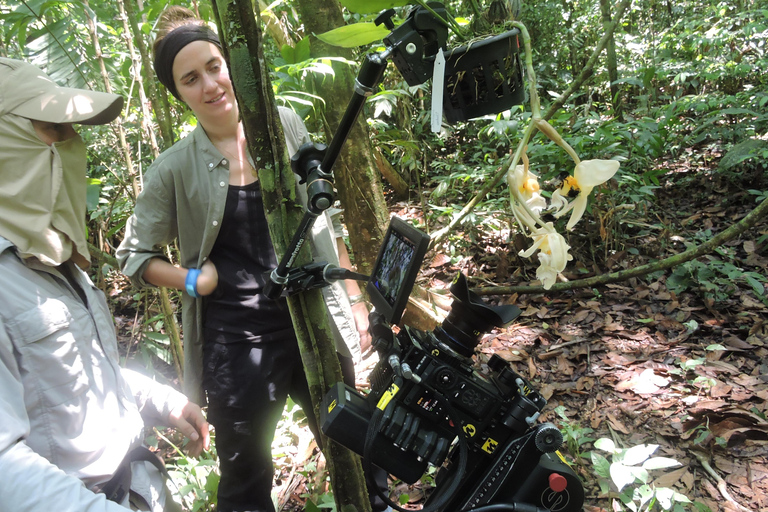 Birdwatching excursion 1.5 hours Tambopata Corridor