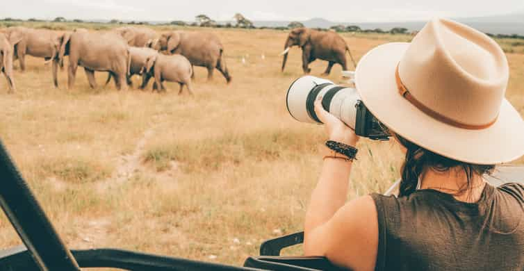 Tage Magische Wildlife Safari Tansania Getyourguide