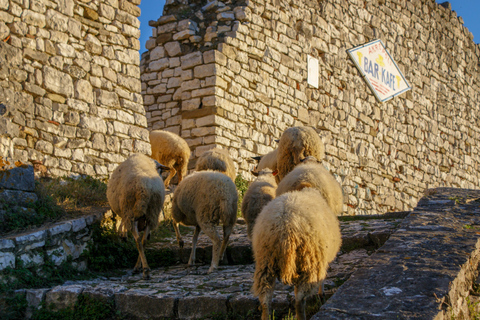 &quot;Berat: Patrimônio da UNESCO e viagem de 1 dia para a Cachoeira Bogova&quot;&quot;Berat: Patrimônio da UNESCO e Cachoeira Bogova&quot; - Tiranë