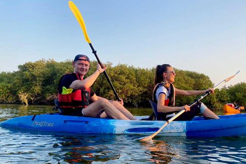 Al Khor: Kajakpaddling i mangroveskogen