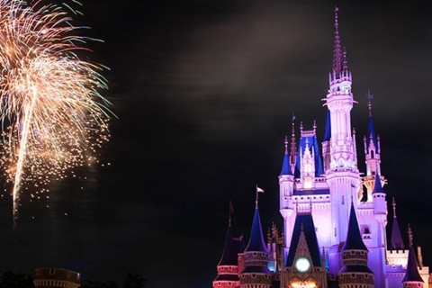 Tokyo Disneyland/DisneySea: 1-Tages-Ticket & PrivattransferDisneyland & Morgentransfer von Tokio nach Disneyland