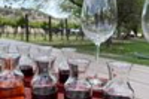 Sedona: Private Wine Tasting Tour with Lunch and Tastings