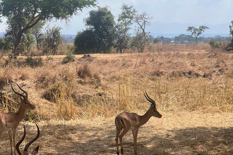 From Zanzibar: 3-Day Mikumi Wildlife Safari, 2 Nights