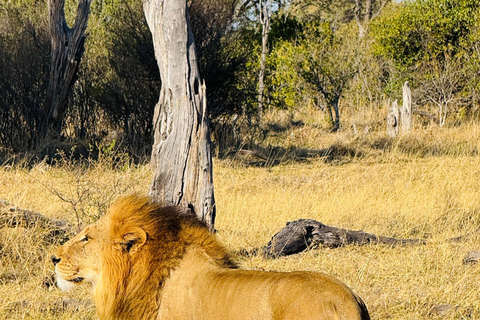 2-Day Zimbabwe, Zambia & Botswana Explorer