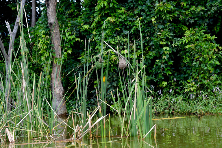 Duluti-See: Kanufahren, Naturwanderung und ExtraKajakfahren, Spaziergang in der Natur und Töpferkurs