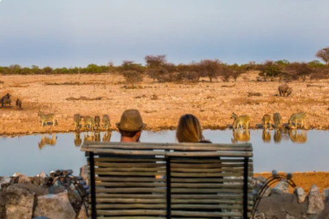 Namibia: explora el cañón más grande de África, las dunas y las salinas.Namibia: explora el cañón más grande de África, las dunas y las salinas