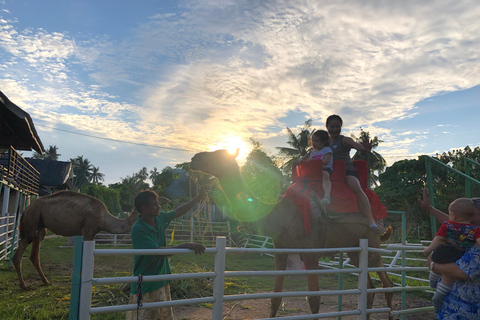 Penang Village Fun: Congkak Game, Local Treat & Petting Zoo
