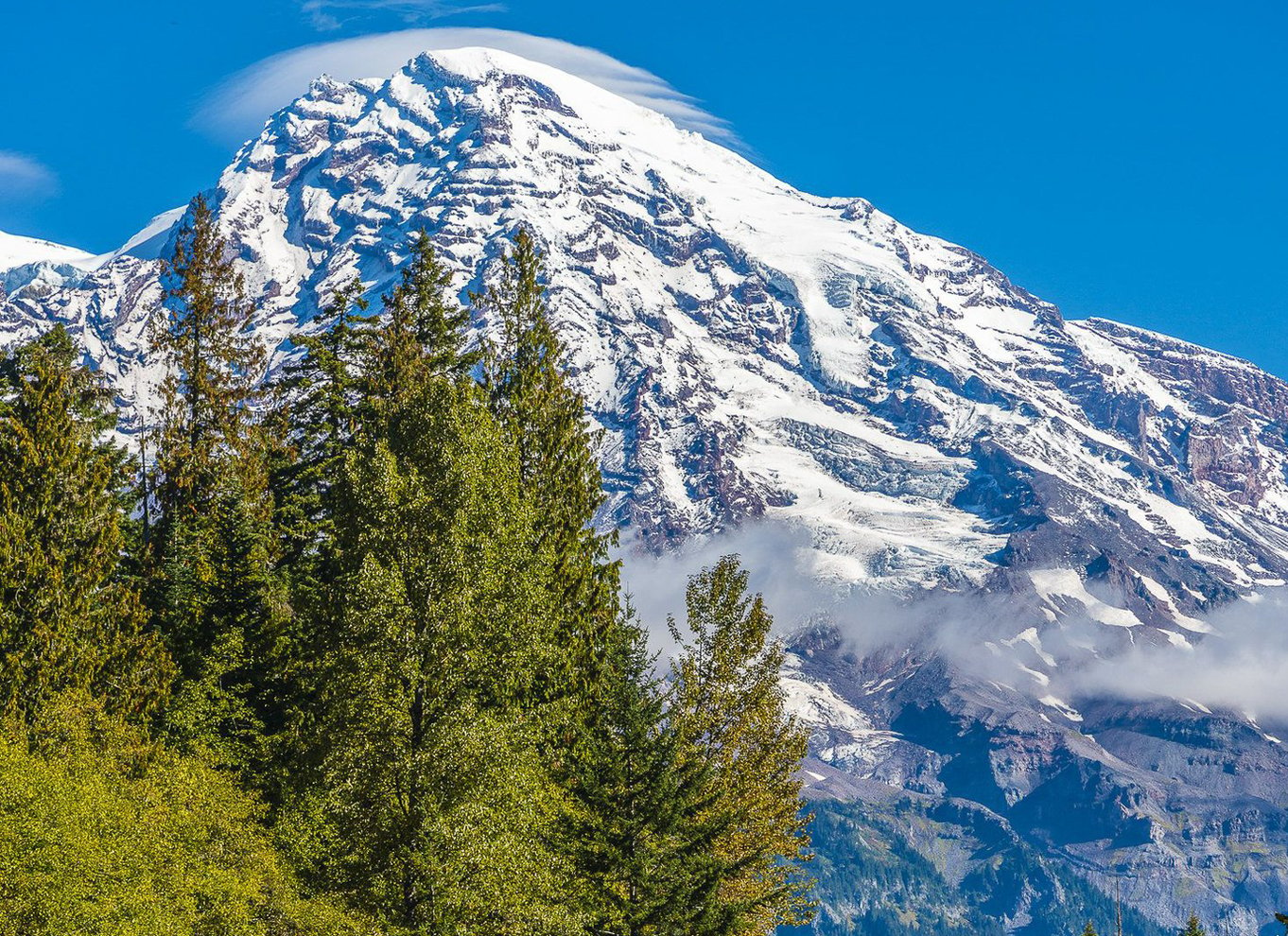 Seattle: Mount Rainier Park All-Inclusive tur med en lille gruppe