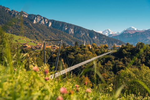 Atterrissage brutal sur vous : Excursion d&#039;une journée en Suisse depuis Zurich