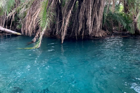 Cascate di Materuni, tour del caffè e sorgenti termali di Chemka: Gita di un giorno