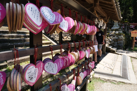 Nara: tour di mezza giornata a piedi del patrimonio UNESCO e della cultura locale