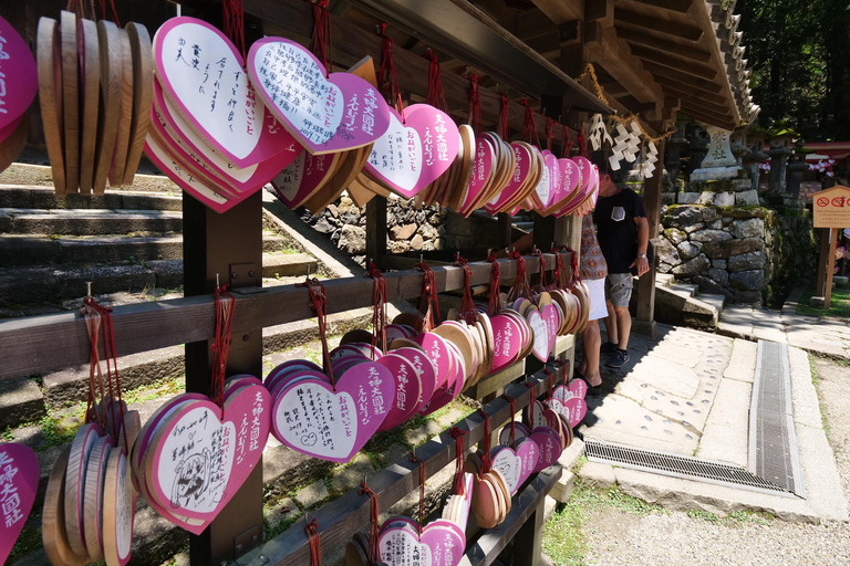 Nara: tour di mezza giornata a piedi del patrimonio UNESCO e della cultura locale