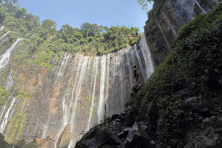 From Yogyakarta: Tumpak Sewu, Bromo, Ijen & Bali drop-off Yogyakarta to Bromo & Ijen only drop Bali