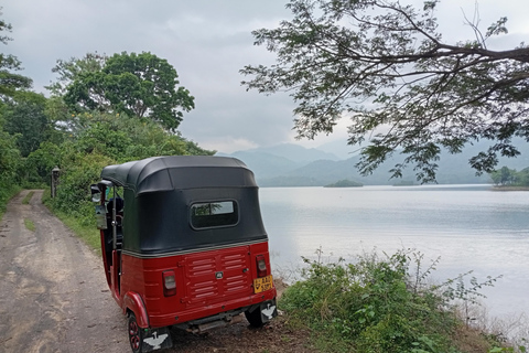 Kandy: Sigiriya Rock Fortress & Dambulla Cave Temple Tour