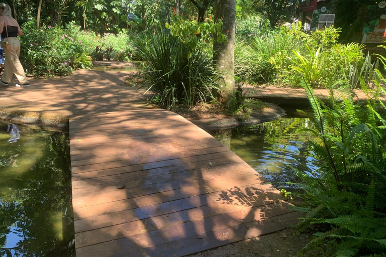 Foz do Iguaçu: Falls, Bird Park, and Macuco Safari Tour