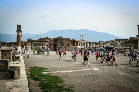Pompéi : visite guidée privée avec un archéologuePompéi: visite guidée privée par un archéologue