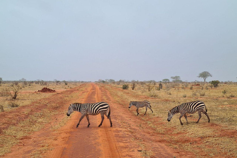 Mombasa/Diani: 2-Day Tsavo East Safari with Meals Private day tour to Tsavo East National Park - VAN
