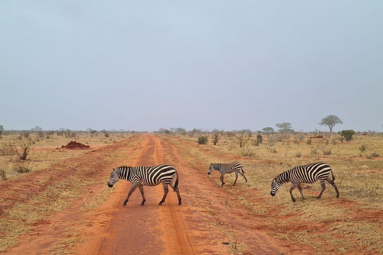 Mombasa/Diani: 2-Day Tsavo East Safari with Meals Private day tour to Tsavo East National Park - VAN