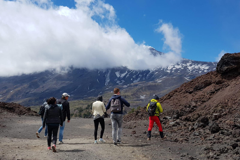 Från Catania: Etna Trekking 2000m med upphämtning