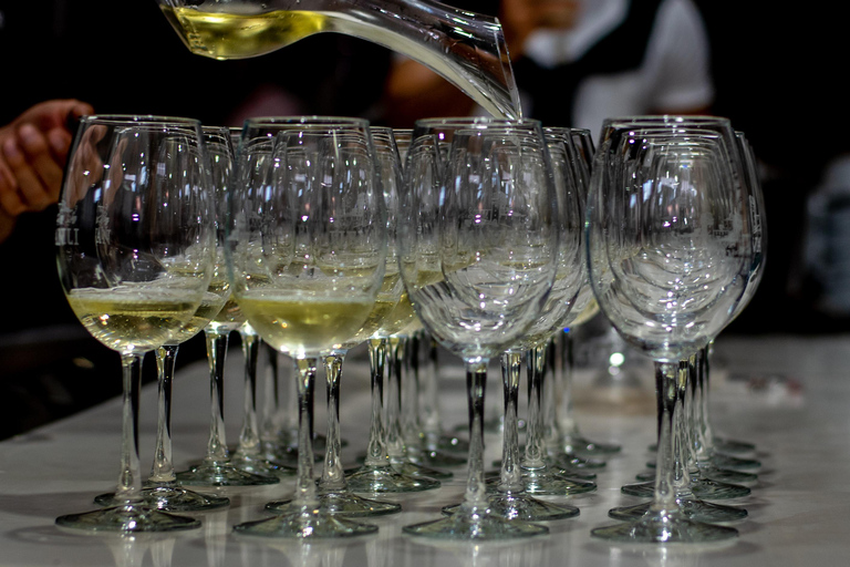 Ijevan: Visita à fábrica de vinho e aguardente com prova