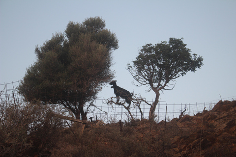 Rethymno quad safari half day 55km cross-country experience Nostos Safari