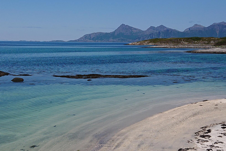 Bodø: The Beaches of Kjerringøy