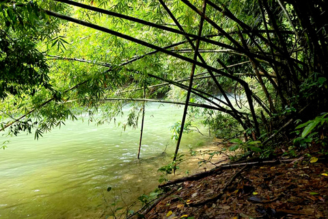 Khao Sok: Half-Day & Night Wildlife Trek and Jungle Dinner Option 6: Half-Day & Night Trek with Dinner From Khao Lak