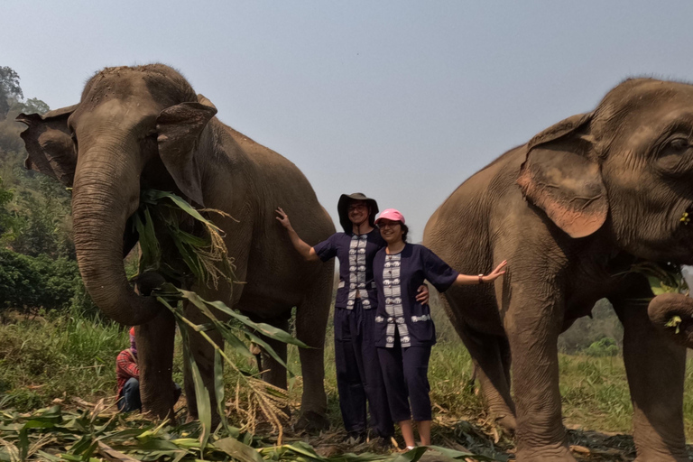 Heldag med CHIANGMAI ELEPHANT CARE och Sticky vattenfall