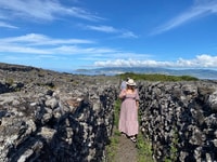 Pico Island, Weinprobe, unabhängige Produzenten & Kultur - Housity