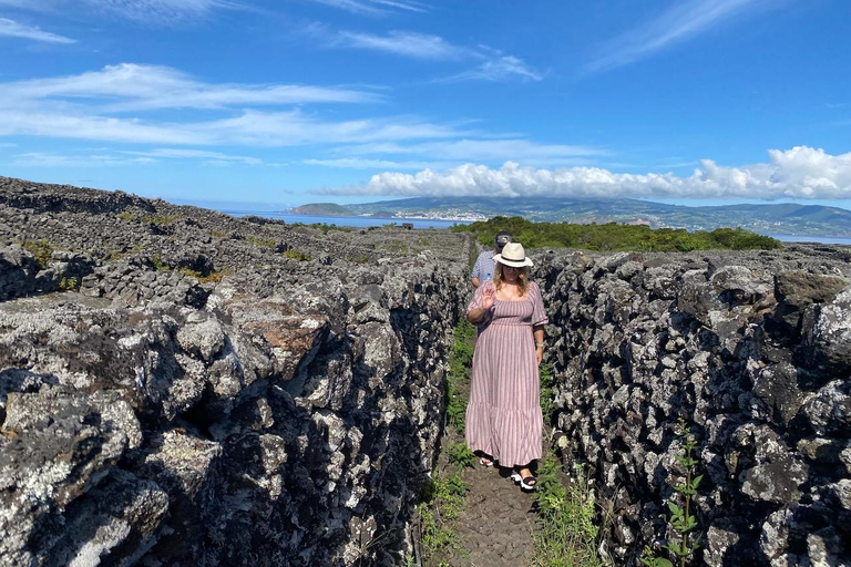 L'île de Pico : Dégustation de vin, producteurs indépendants et culture