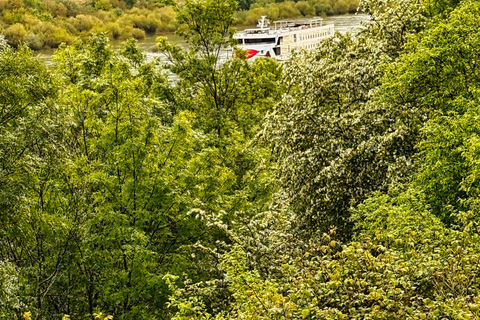 Porto: Tour dei 2 vigneti della Valle del Douro con pranzo e crociera sul fiume