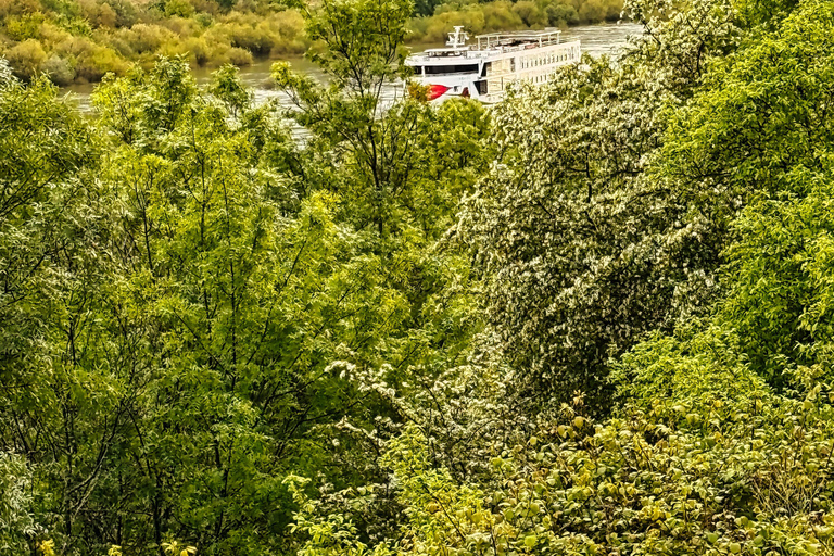 Porto : Vallée du Douro : visite de 2 vignobles avec déjeuner et croisière sur le fleuve