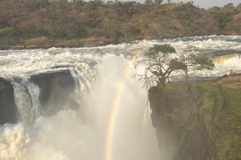 3-Day Best of Uganda Big5 Safari Tour in Murchison Falls NP
