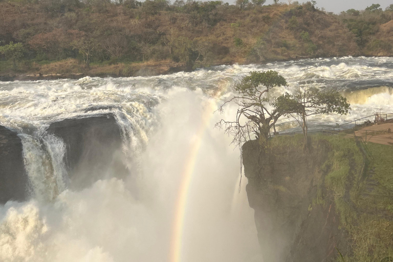 3-Day Best of Uganda Big5 Safari Tour in Murchison Falls NP