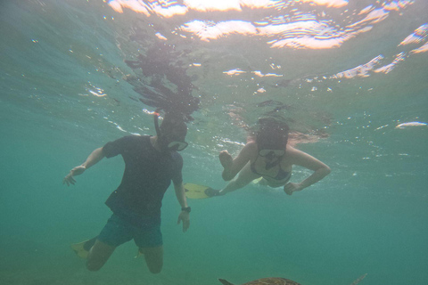 Mirissa: Thalaramba Beach Snorkeling Tour with Sea Turtles