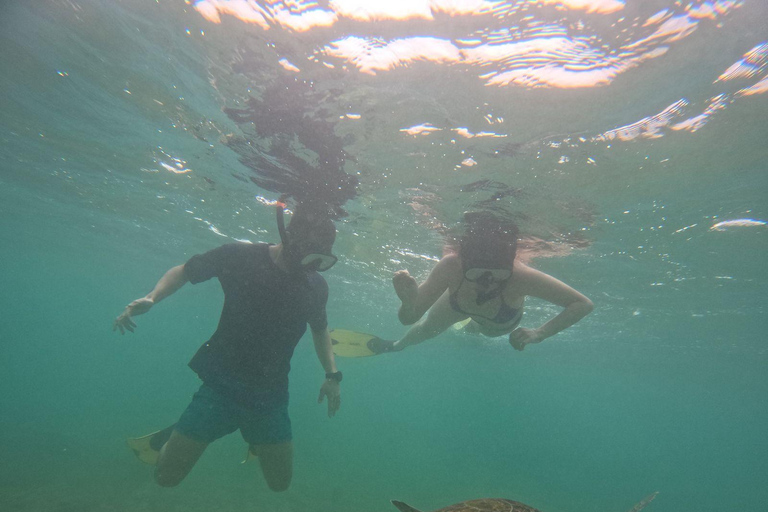 Mirissa: Thalaramba Beach Snorkeling Tour with Sea Turtles