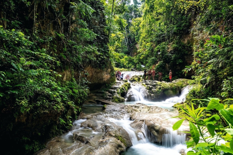 Jamajka: Rzeka Dunn's i Blue Hole przez cały dzień z lunchemangielski, niemiecki, francuski, niderlandzki