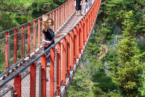 From Seoul: Private DMZ Tour with Optional Suspension Bridge