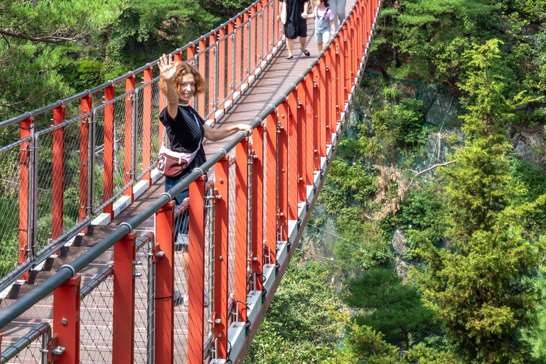 From Seoul: Private DMZ Tour with Optional Suspension Bridge