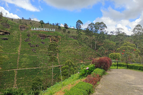 Colombo to Kandy Full-Day Private Tour Experience