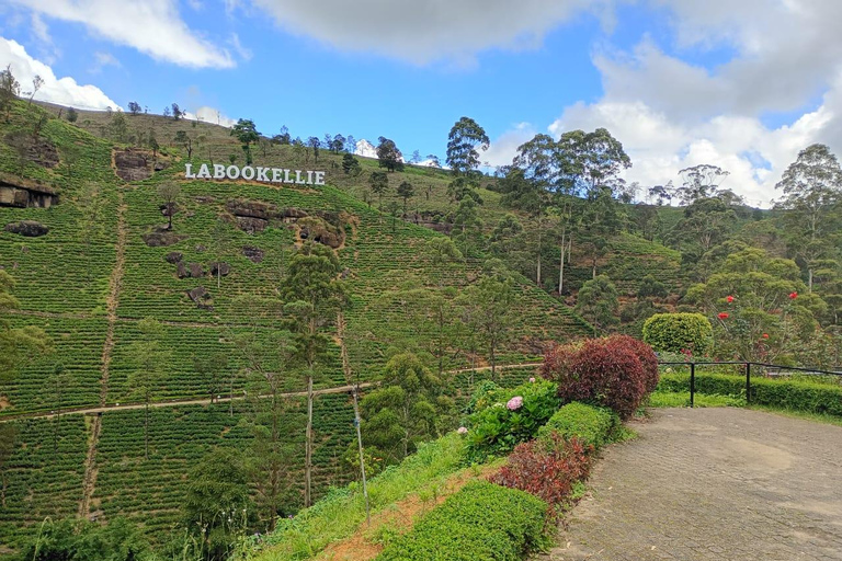 Colombo to Kandy Full-Day Private Tour Experience
