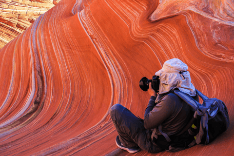 Tucson: Sonoran Desert Guided Hike with Naturalist Guide