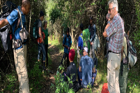 Arusha: Mount Meru 3-Tages-Besteigung mit UnterkunftArusha: 4-tägige Besteigung des Mount Meru mit Unterkunft