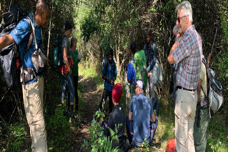 Arusha: Mount Meru 3-Tages-Besteigung mit UnterkunftArusha: 4-tägige Besteigung des Mount Meru mit Unterkunft