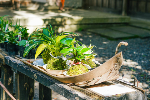 Kioto: recorrido a pie de 4 horas por Arashiyama