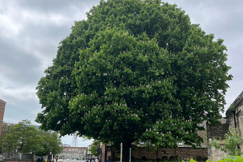 York: J&M’s City Sightseeing and History Tour