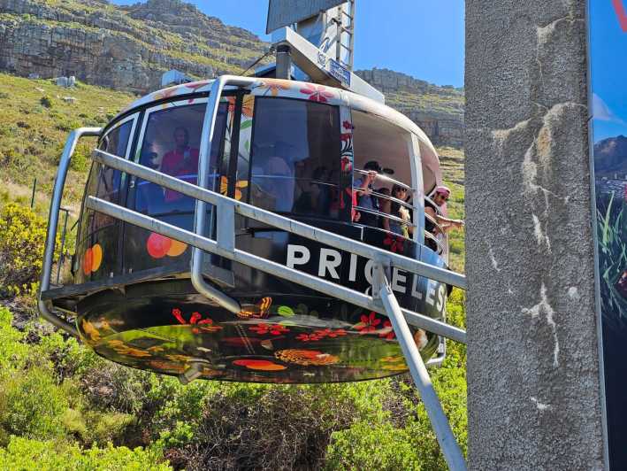 Cape Town: Table Mountain, Cape Point, & Penguins Group Tour