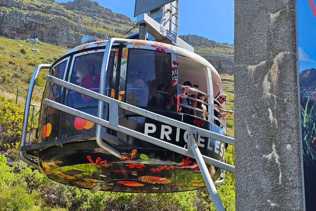 Città del Capo: tour di gruppo di Table Mountain, Cape Point e dei pinguini